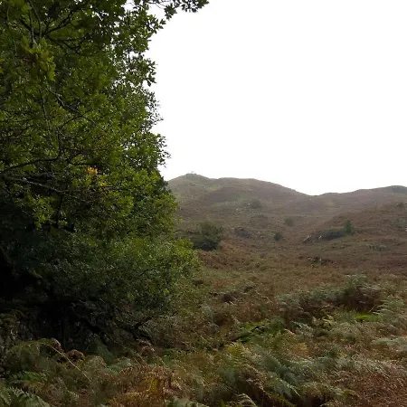 Daweswood, Patterdale, Characterful With Fairy Tale Garden And Fell Walks From The Door *