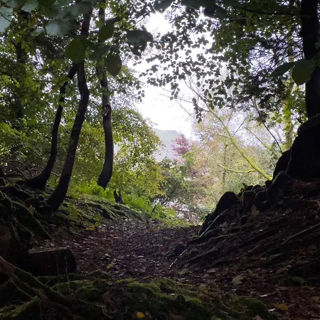 Daweswood, Patterdale, Characterful With Fairy Tale Garden And Fell Walks From The Door Feriehus Patterdale