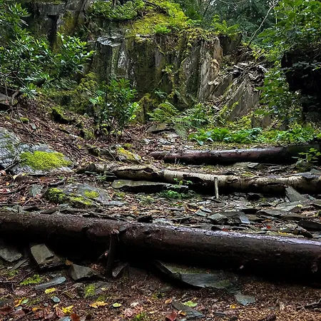 Daweswood, Patterdale, Characterful With Fairy Tale Garden And Fell Walks From The Door Holiday home *
