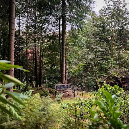Feriehus Daweswood, Patterdale, Characterful With Fairy Tale Garden And Fell Walks From The Door *