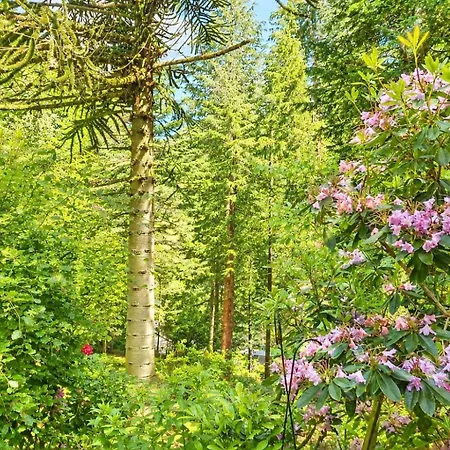 בית נופש Daweswood, Patterdale, Characterful With Fairy Tale Garden And Fell Walks From The Door פאטרדייל