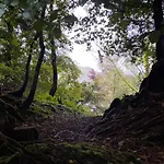 Daweswood, Patterdale, Characterful With Fairy Tale Garden And Fell Walks From The Door 펜션 페터데일