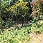 Daweswood, Patterdale, Characterful With Fairy Tale Garden And Fell Walks From The Door 펜션 페터데일
